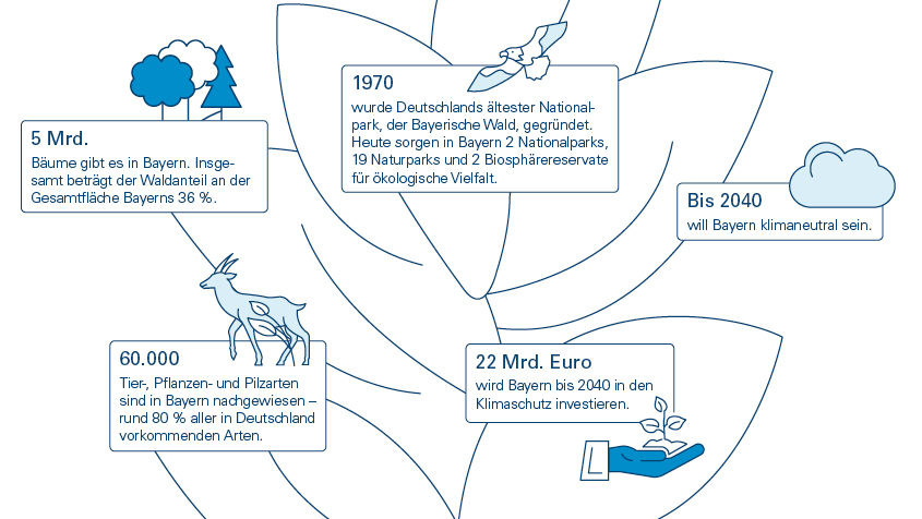 Informationen zur Landwirtschaft und Umwelt in Bayern mit Text und Icons