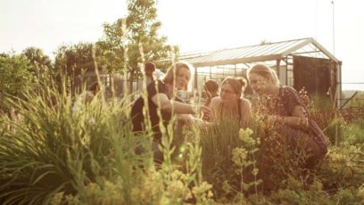 Studieren für den Klimaschutz an der Hochschule Weihenstephan-Triesdorf. Das Studium bereitet die Studierenden darauf vor, im späteren Berufsleben Klimaschutz umzusetzen und den Herausforderungen des Klimawandels zu begegnen. © Hochschule Weihenstephan-Triesdorf