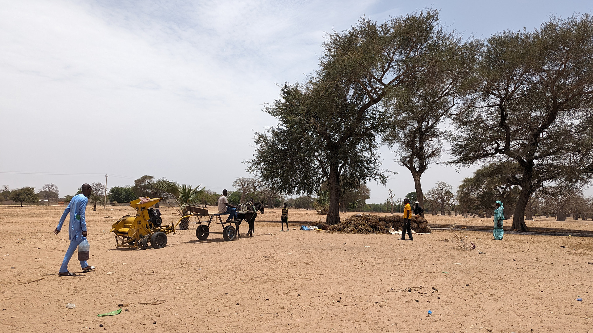 Bauern beim Dreschen von Hirse im Senegal. Die Mechanisierung der Landwirtschaft verbessert die Lebensbedingungen vor Ort.