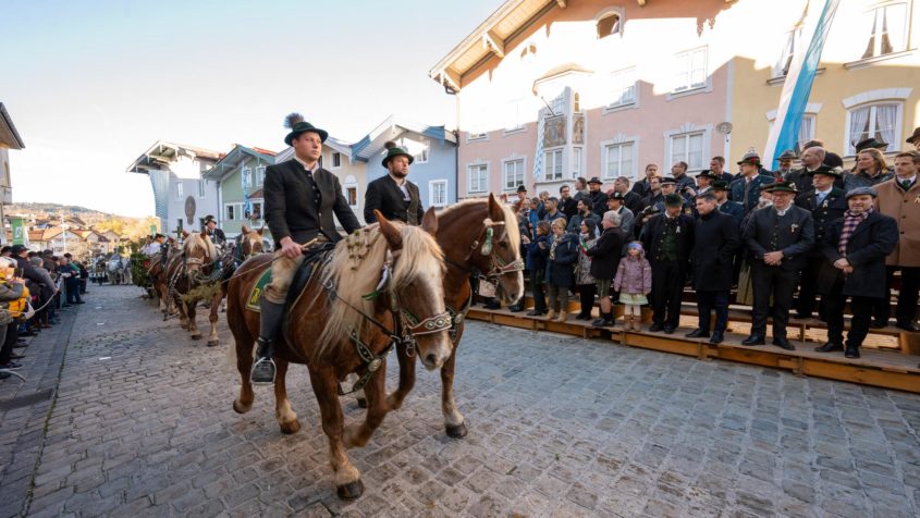 1772 fand die erste verbürgte Leonhardifahrt in Tölz statt. ...